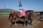 Why Gormley Win the Belmont Stakes – Pros and Cons - Latest Odds Why Gormley Win the Belmont Stakes – Pros and Cons - Latest Odds