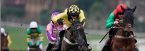 2019 Supreme Novice Hurdle Betting Odds, Picks 2019 Supreme Novice Hurdle Betting Odds, Picks