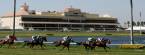 Bookies to Flock to Gulfstream Park This Kentucky Derby: Betting Seminar Unveiled Bookies to Flock to Gulfstream Park This Kentucky Derby: Betting Seminar Unveiled