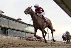 Price Per Head for the Kentucky Derby