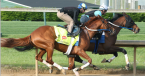 Gun Runner Wins Whitney Stakes 2017 at 4-5 Odds