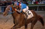 Gunnevera Odds to Win the 2017 Breeders Cup Classic 