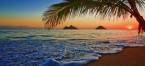 Where Can I Play Texas Hold'em Online From Hawaii?