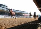 Highly Motivated Kentucky Derby Payout Odds