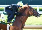 Odds on Hofburg Winning This Year's Kentucky Derby Odds on Hofburg Winning This Year's Kentucky Derby
