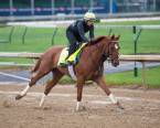 Hofburg Post Position Chances of Winning the Kentucky Derby Hofburg Post Position Chances of Winning the Kentucky Derby