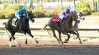 2017 El Camino Real Derby Betting Odds: Where to Bet Online