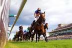 Bet the 2018 Florida Derby Online - Latest Odds Bet the 2018 Florida Derby Online - Latest Odds
