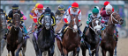 Preakness Wagering Suffers With No Triple Crown Bid