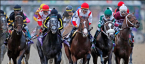 2022 Haskell Stakes Betting Odds