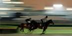 Three-Way Race for Early 2017 Kentucky Derby Favorite: Great Payout Odds Three-Way Race for Early 2017 Kentucky Derby Favorite: Great Payout Odds