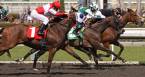 2017 Breeders Cup Classic Expert Picks 2017 Breeders Cup Classic Expert Picks