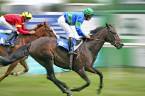 Can I Bet Onnline at Xpressbet From Oregon, Washington State? Can I Bet Onnline at Xpressbet From Oregon, Washington State?