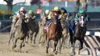 Why Hollywood Handsome Can Win the Belmont Stakes – Pros and Cons - Latest Odds Why Hollywood Handsome Can Win the Belmont Stakes – Pros and Cons - Latest Odds
