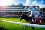 Lowton Maiden Stakes (Plus 10) 2017 Betting Odds - Haydock