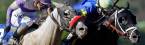 2017 Haskell Invitational Betting Odds 2017 Haskell Invitational Betting Odds