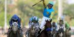 Spinaway Stakes 2017 Betting Odds Spinaway Stakes 2017 Betting Odds