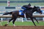 Instilled Regard Post Position Chances to Win the Kentucky Derby Instilled Regard Post Position Chances to Win the Kentucky Derby
