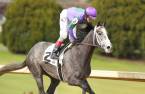 Intrepid Payout Odds to Win Belmont Stakes 