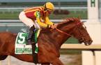Belmont Stakes 2017 Expert Picks Belmont Stakes 2017 Expert Picks