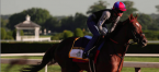 Why Irish War Cry Can Win the Belmont Stakes – Pros and Cons - Latest Odds Why Irish War Cry Can Win the Belmont Stakes – Pros and Cons - Latest Odds