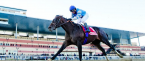 J Boys Echo Odds to Win the Belmont Stakes, Payout Pontential J Boys Echo Odds to Win the Belmont Stakes, Payout Pontential
