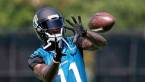 Jaguars Cover But Fail to Make Super Bowl 52 Jaguars Cover But Fail to Make Super Bowl 52
