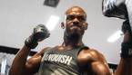 UFC 232 Round Betting Online: Jones vs. Gustafsson UFC 232 Round Betting Online: Jones vs. Gustafsson