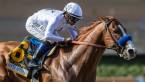 Justify Odds to Win the Preakness 2018 Justify Odds to Win the Preakness 2018