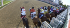 Racebook Tips To Win The 2018 Kentucky Derby Betting Online Racebook Tips To Win The 2018 Kentucky Derby Betting Online