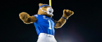 What Are the Regular Season Wins Total Odds for the Kentucky Wildcats - 2022?
