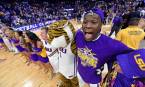 What is the Line on the Florida Gators vs. LSU Tigers Game March 15 What is the Line on the Florida Gators vs. LSU Tigers Game March 15