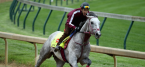 Lani Post Position Draw Eight Odds – 2016 Kentucky Derby Lani Post Position Draw Eight Odds – 2016 Kentucky Derby