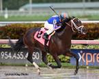 Laoban Payout Odds to Win Preakness 2016