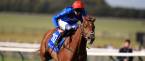 Duke of Cambridge Stakes 2017 Betting Odds, Tips – Royal Ascot Racing Duke of Cambridge Stakes 2017 Betting Odds, Tips – Royal Ascot Racing
