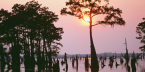 No Mobile Sports Betting in Louisiana Just Yet No Mobile Sports Betting in Louisiana Just Yet