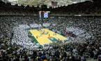 Bet on the Purdue vs. MSU Game - Bookie Line Analysis Bet on the Purdue vs. MSU Game - Bookie Line Analysis