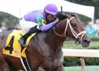 What Are the Payout Odds on Magnum Moon Winning the Kentucky Derby?