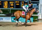 Mandaloun Payout Odds to Win the Kentucky Derby