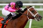 Maximum Security Payout Odds to Win Breeders Cup Classic Maximum Security Payout Odds to Win Breeders Cup Classic