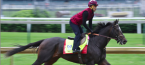 Morning Odds - Kentucky Derby 2017 – Showers Favor McCracken the Mudder Morning Odds - Kentucky Derby 2017 – Showers Favor McCracken the Mudder