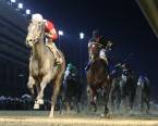McCraken Early Odds to Win the 2017 Kentucky Derby at 9-1