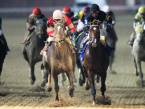 What Will the Payout Be if McCracken Wins the 2017 Kentucky Derby?