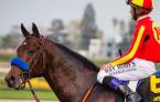 2018 San Felipe Stakes Betting Odds 2018 San Felipe Stakes Betting Odds