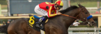 McKinzie Payout Odds 2018 Breeders Cup Classic McKinzie Payout Odds 2018 Breeders Cup Classic