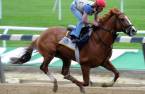 Meantime Odds to Win 2017 Belmont Stakes – Payout Potential 