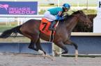 Medina Spirit Kentucky Derby Payout Odds Medina Spirit Kentucky Derby Payout Odds
