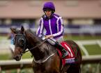 Mendelssohn Odds to Win the 2018 Kentucky Derby - 6-1 Overnight