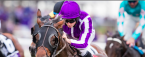 Mendelssohn Post Position Chances of Winning the Kentucky Derby Mendelssohn Post Position Chances of Winning the Kentucky Derby