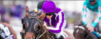 Mendelssohn Post Position Chances of Winning the Kentucky Derby 